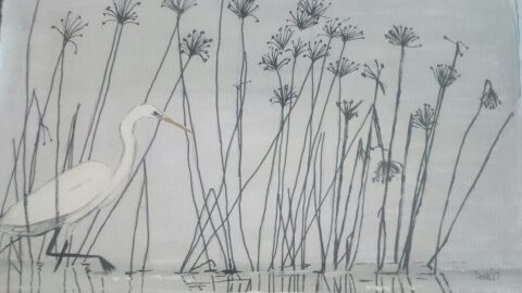 stork in the rushes a4