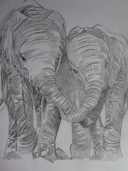 elephant friends a4