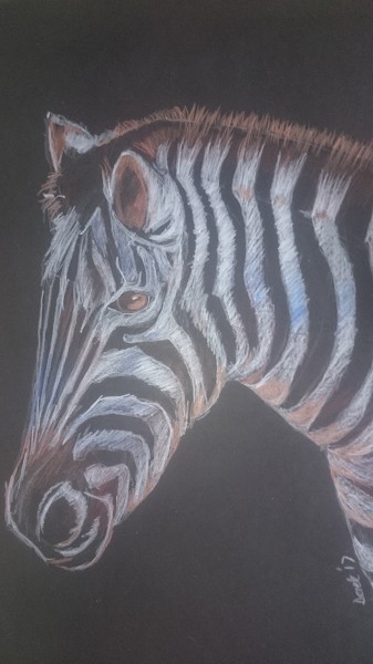 zebra pastels on pastel paper a4
