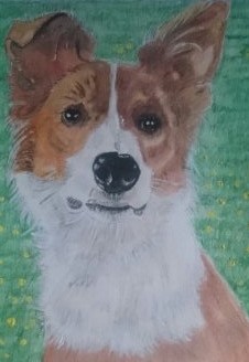 dog watercolour pencils a3