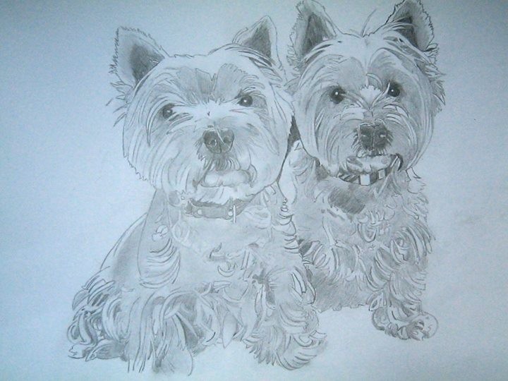 Twin Westies  (also limited edition print for sale)