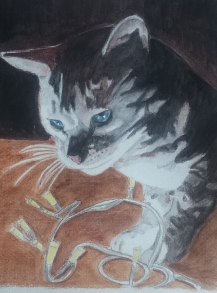 cat with lights watercolour a4
