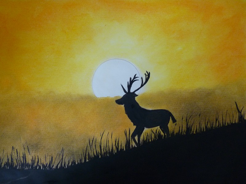 Stag in silhouette